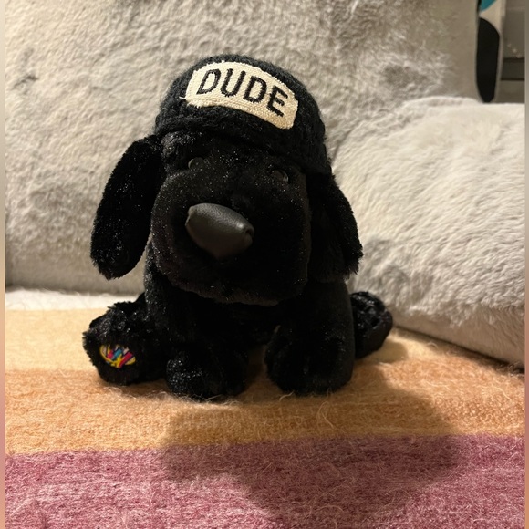 Webkinz Black Lab W Dude Hat Collector’s Item No Code Classic - Picture 1 of 2